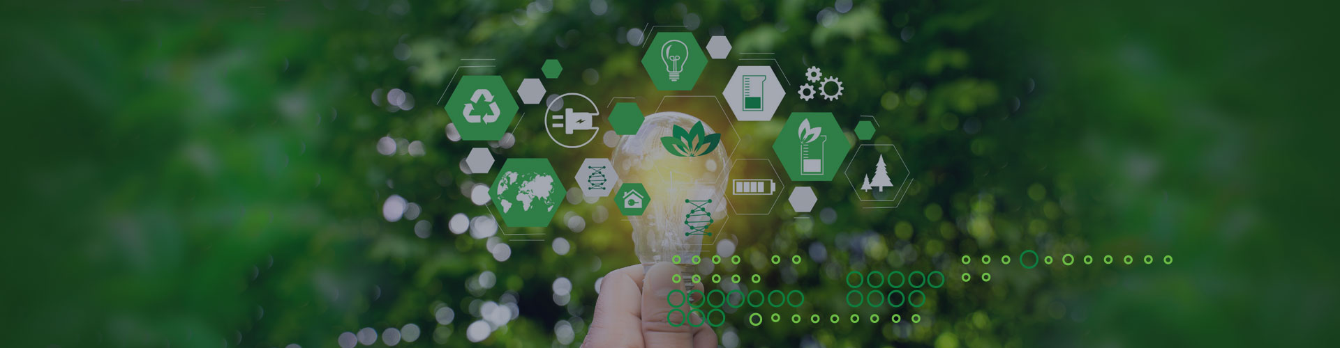 Sustainability